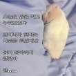 베뤼이지