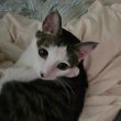 라미_S2 프로필