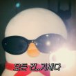 정센스20 프로필