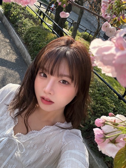 shayyy 프로필
