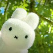 루루공주00 프로필