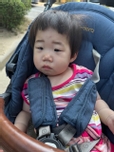 액냥이귤대장