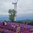 글로리.com 프로필