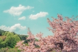 두부유부초밥