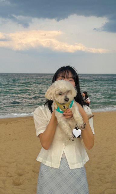 Yyemong 프로필