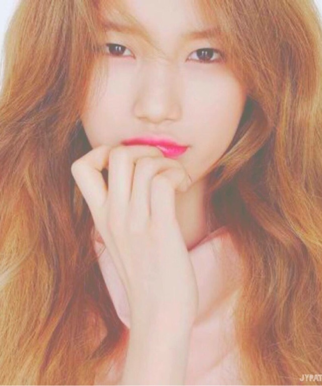 죠로잉 프로필
