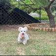 유콩쫑콩