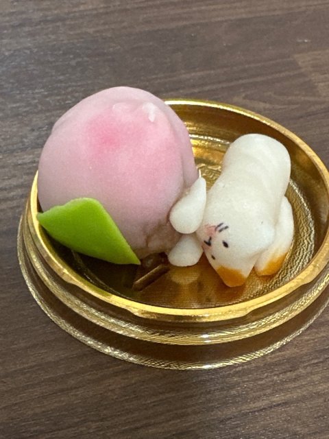 nyoung_118 프로필