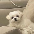 ch_bxkwe 프로필