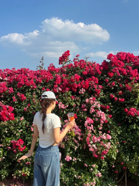 haein0304 프로필