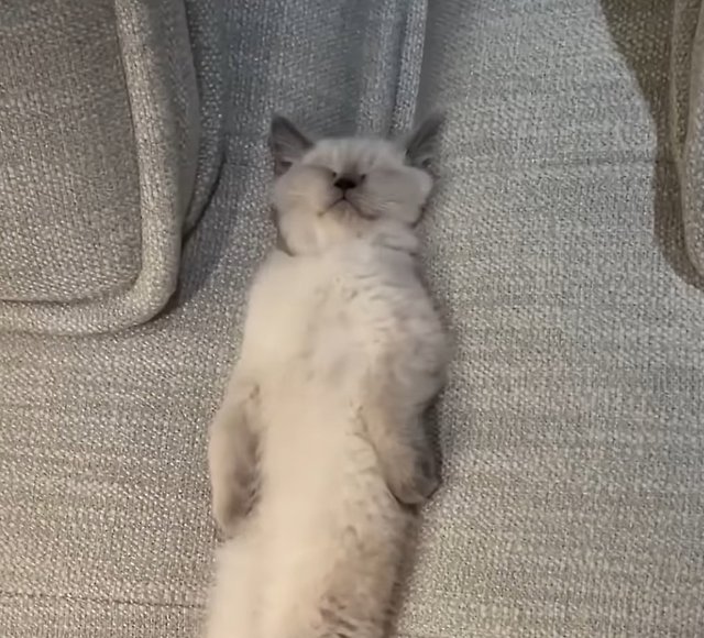 글로리#kC8H4T 프로필