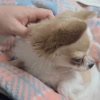 글로리#kCs157 프로필