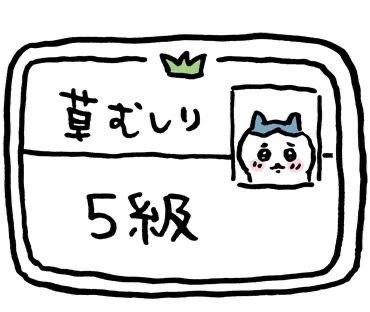 제초5급 프로필