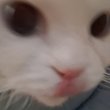리뷰어 프로필