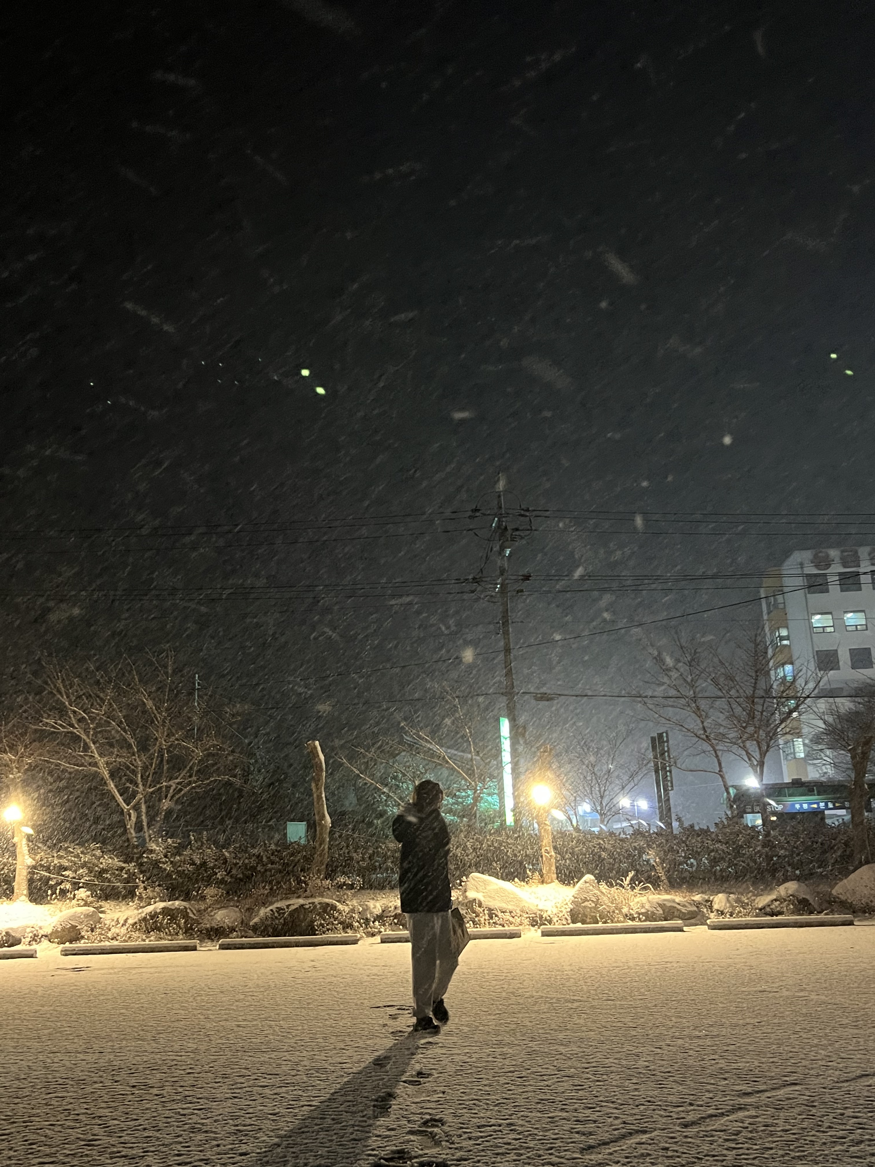 로안엄마 프로필