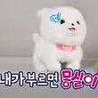 글로리#l2V0yp 프로필