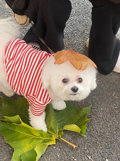 세보_ 프로필