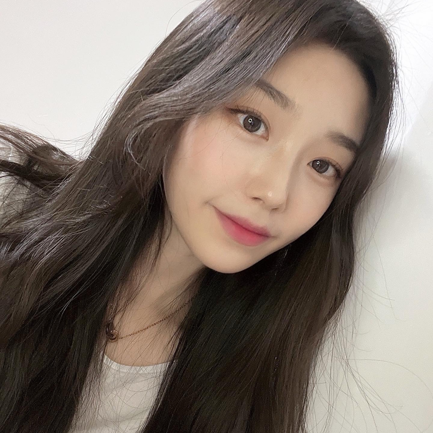 아와와 프로필