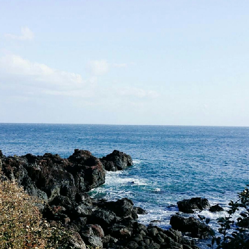 니코코 프로필