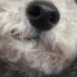 달고니님 프로필