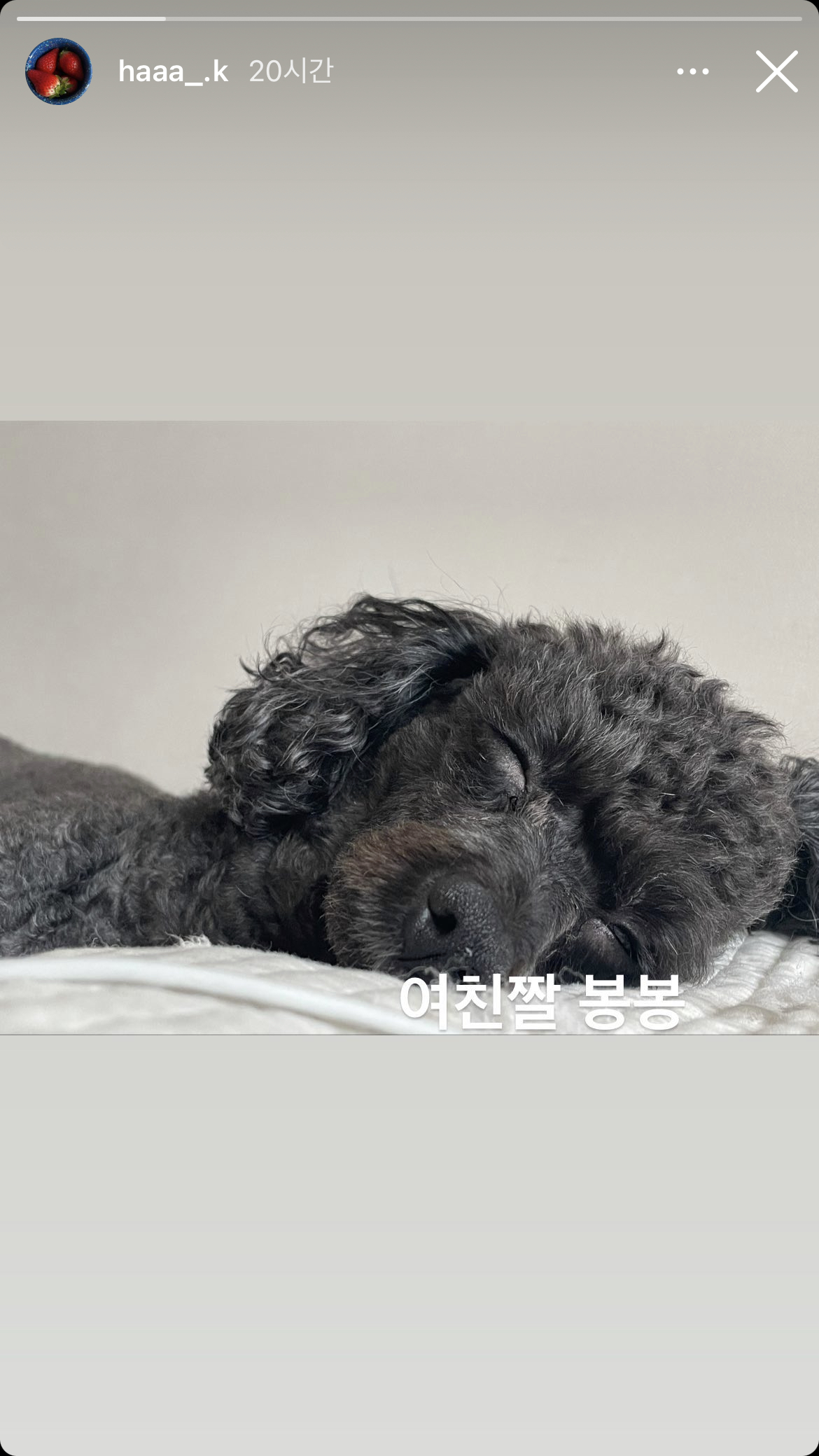 글로리#lDKeMx 프로필