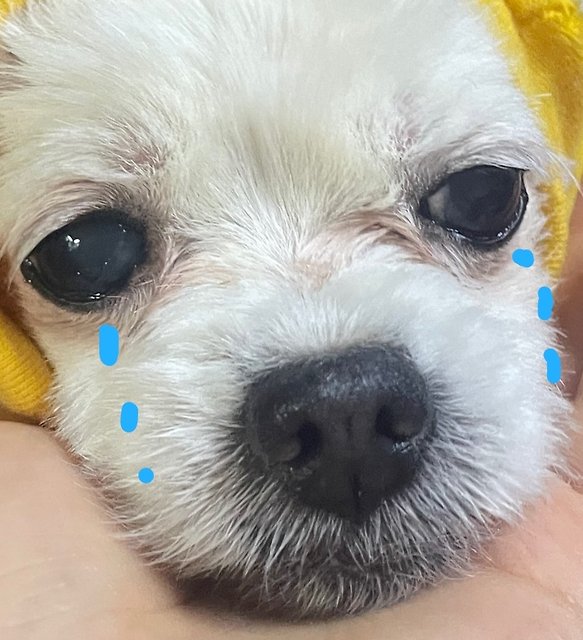 mering 프로필