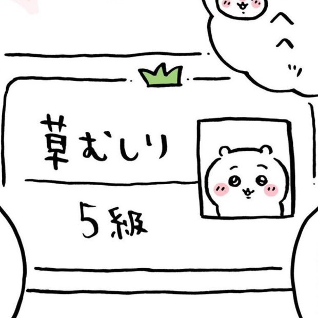 뚱햄쥐 프로필
