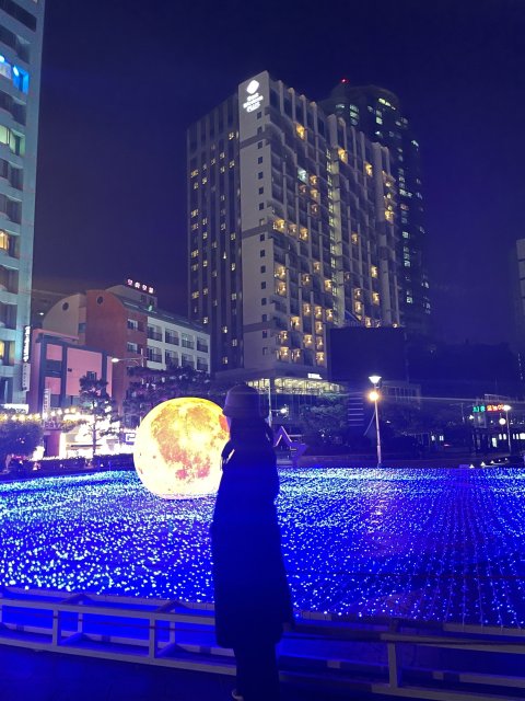 낑낑gingging 프로필