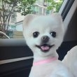 뿡주