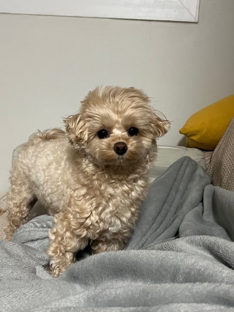 글로리#m3piLI 프로필