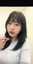 홀리holly