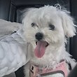 글로리#motKat 프로필