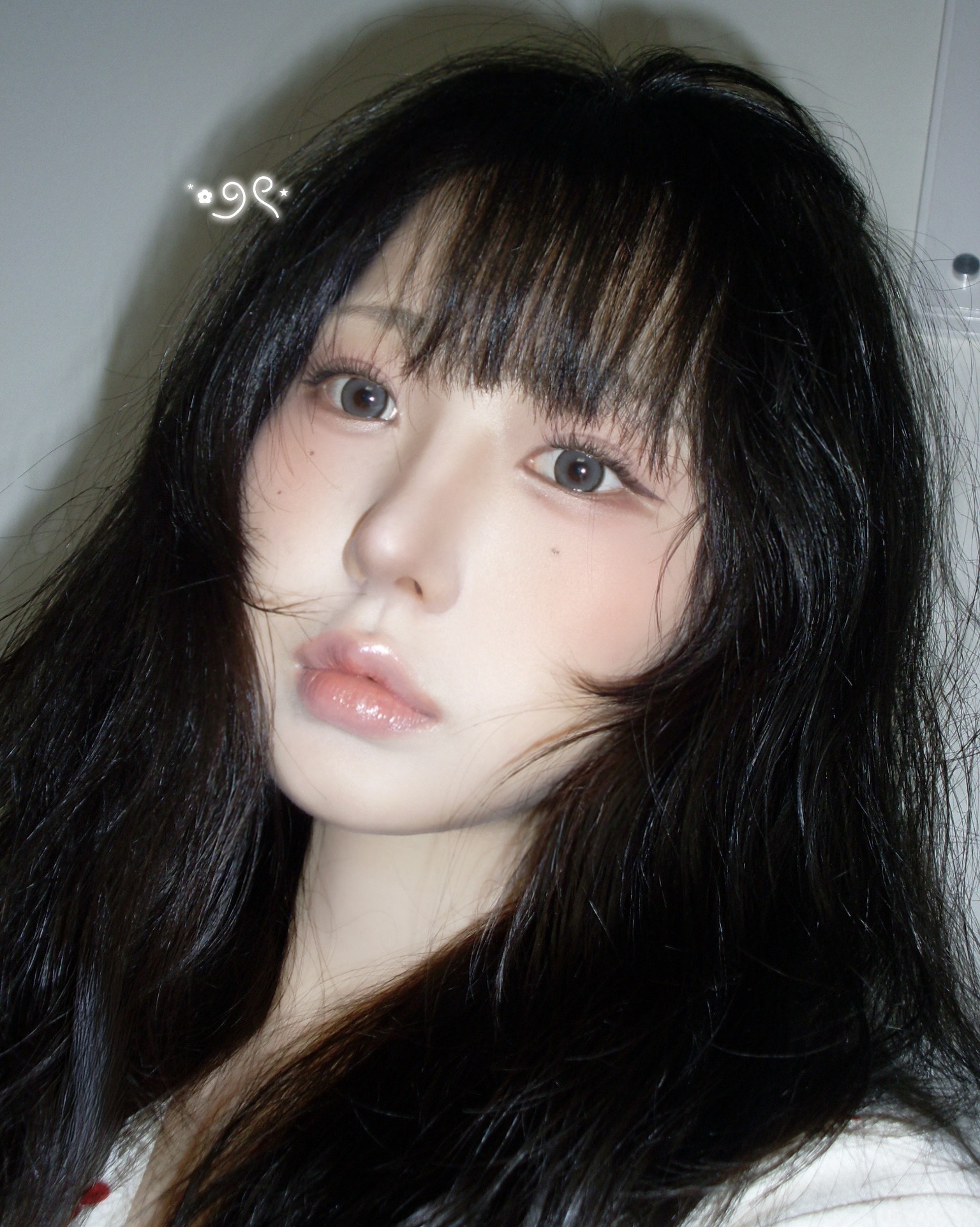 팔방이 프로필