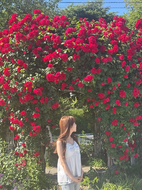 글로리#mrwcIS 프로필