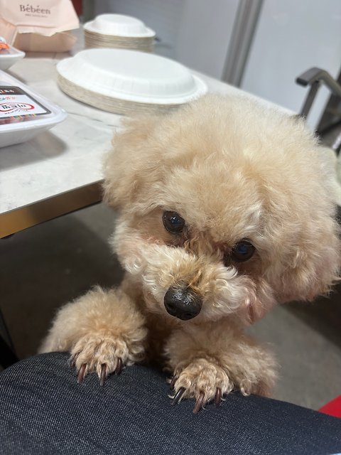 글로리#mHonWW 프로필