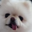시든밤톨:3 프로필
