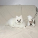글로리#n0KYod