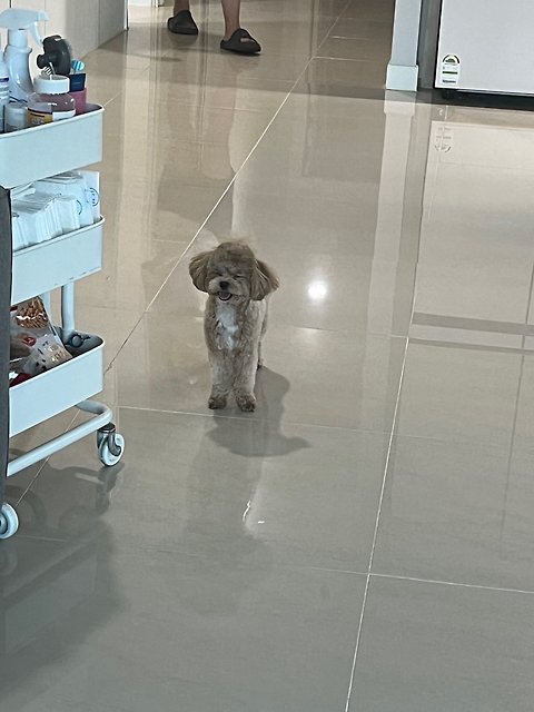 글로리#n8hBdD 프로필