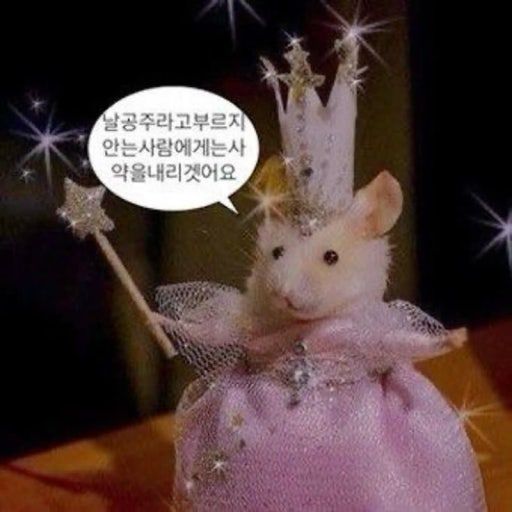 박제함 프로필
