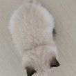 raw.png2 프로필