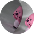 븨븨