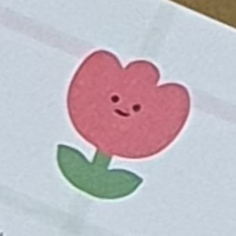 듀립 프로필