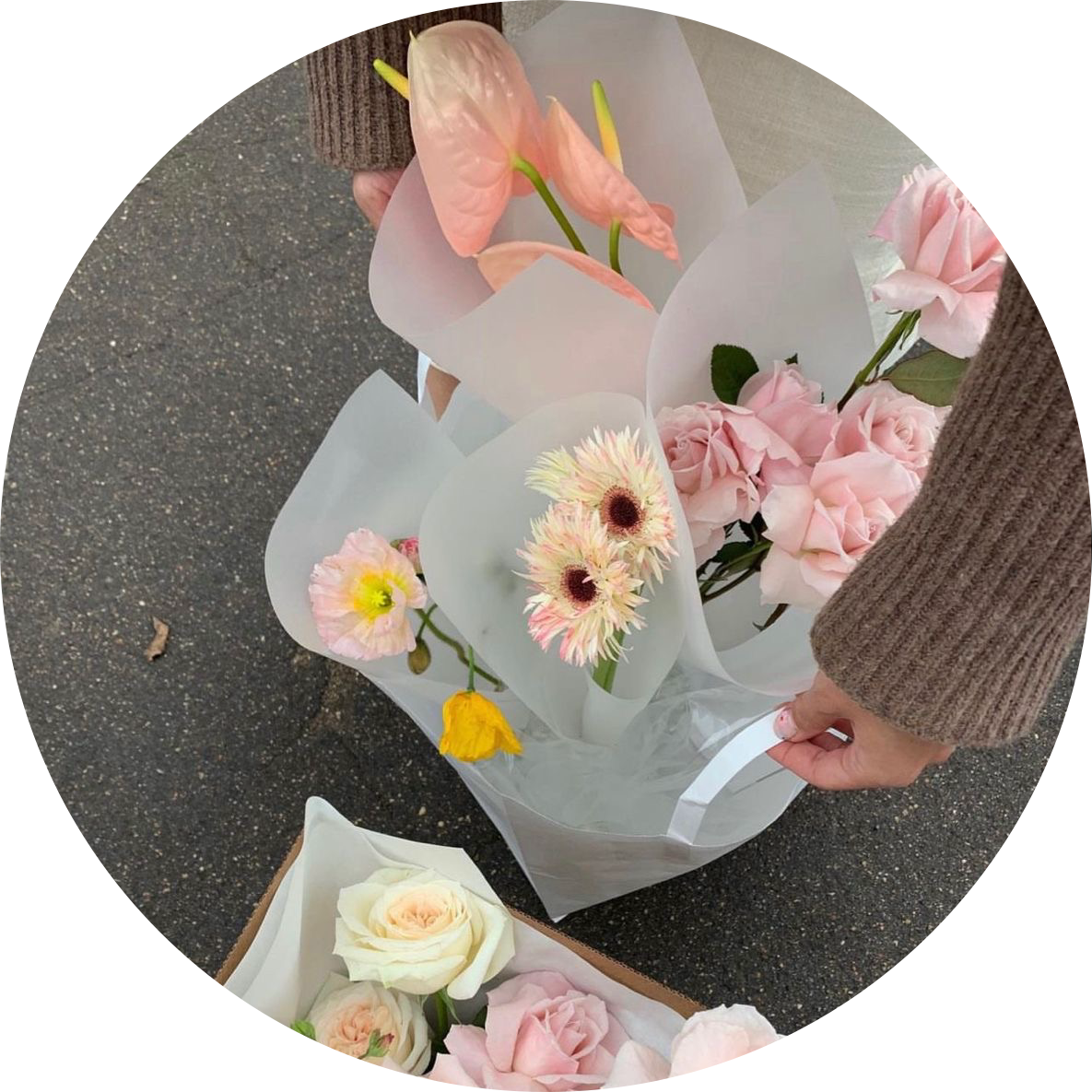 ieeun 프로필