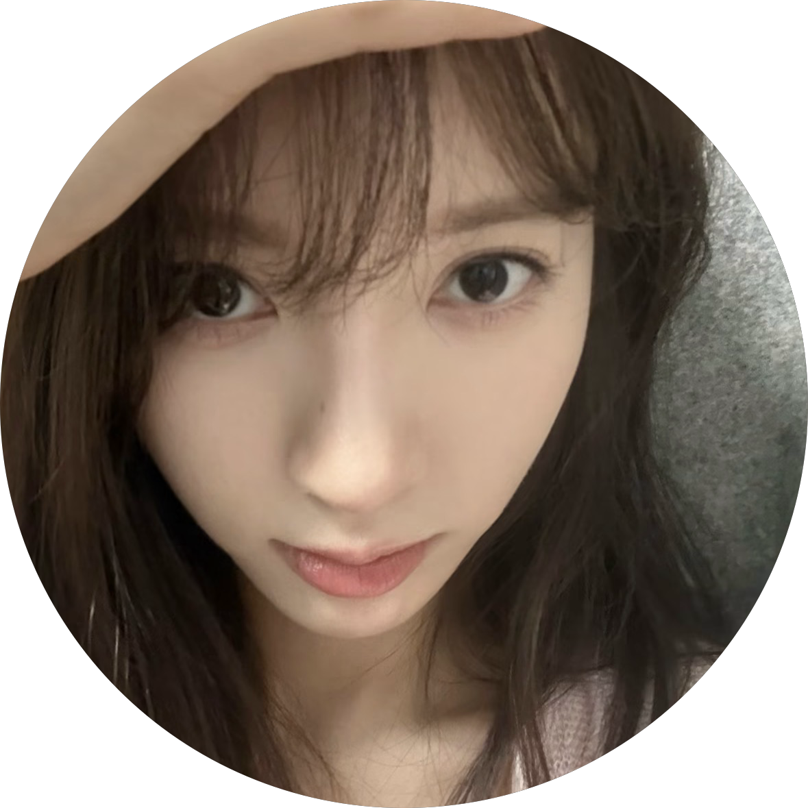 Bona 프로필