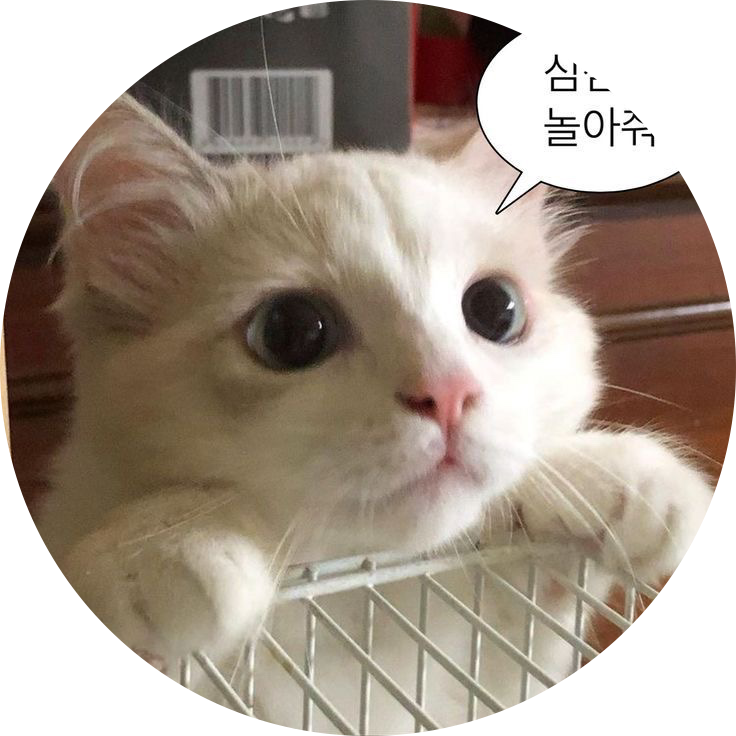 haimg 프로필
