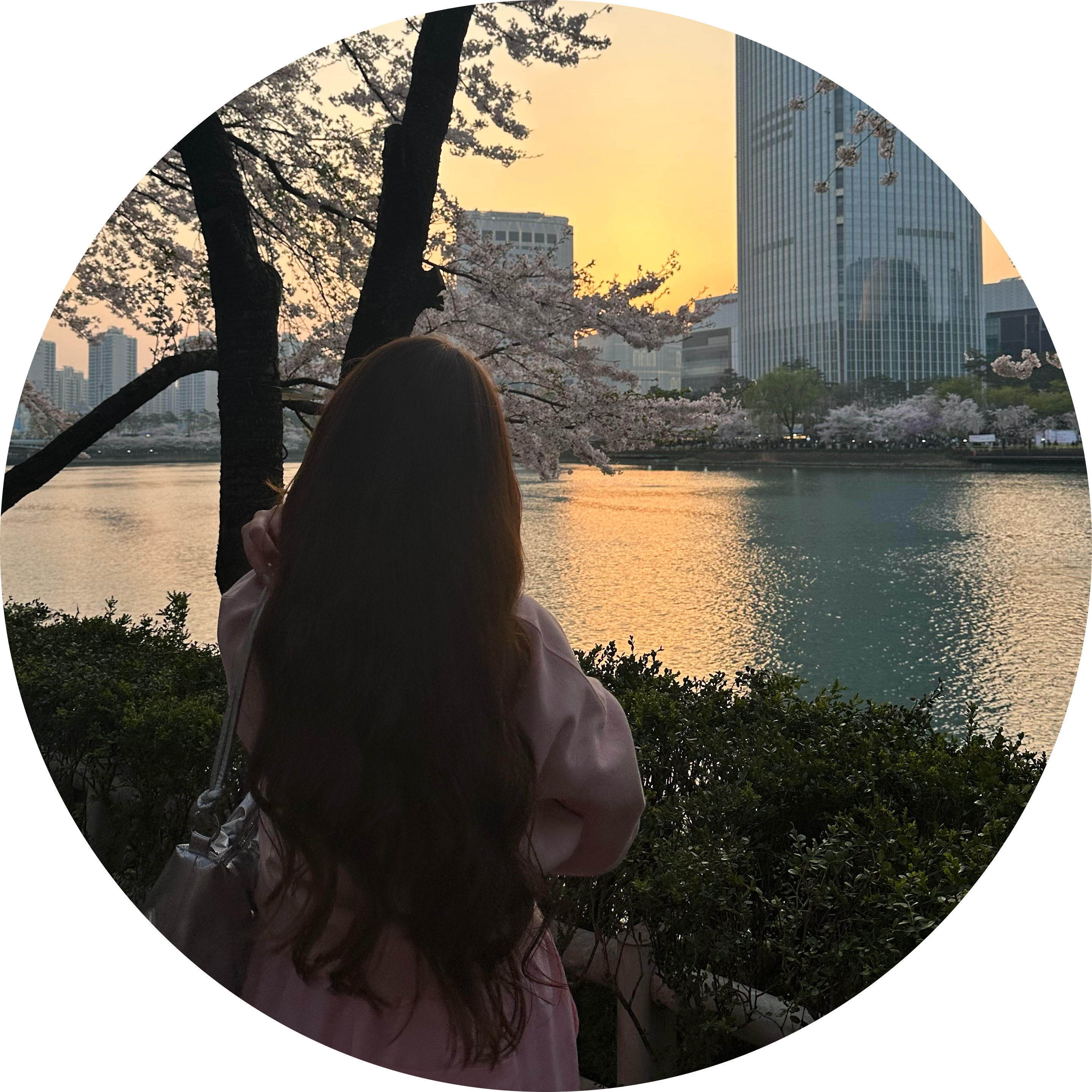 irina.seip 프로필