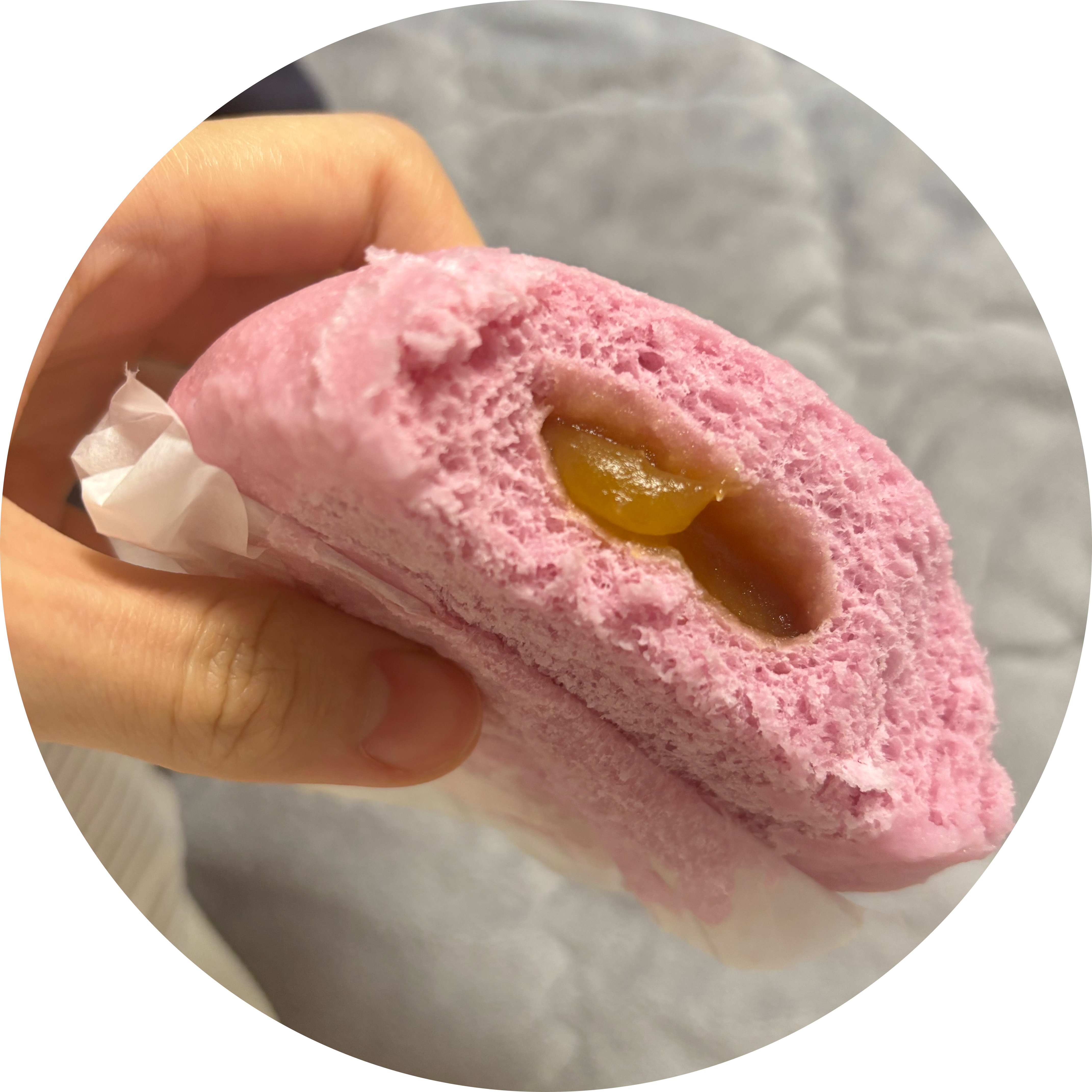 자색춘식 프로필