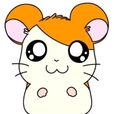 순삼이