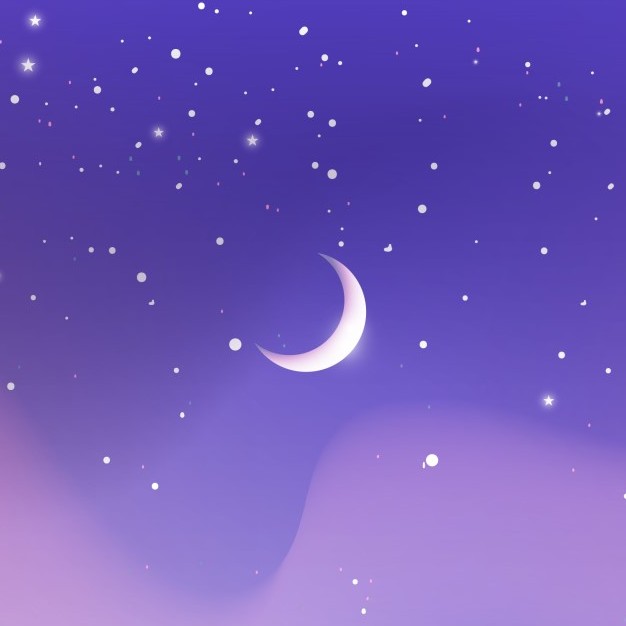 미미꾸꾸 프로필