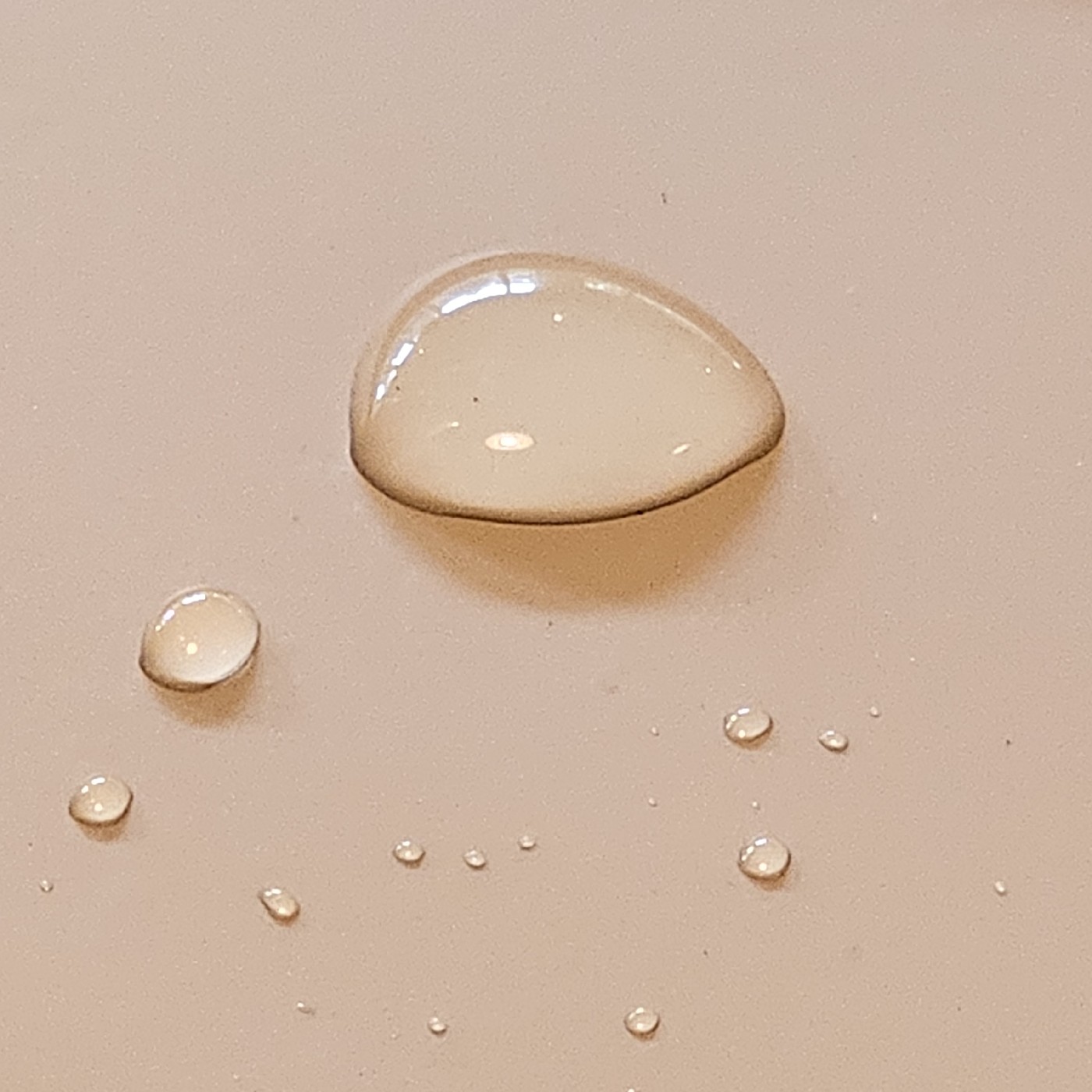 롬티아 프로필
